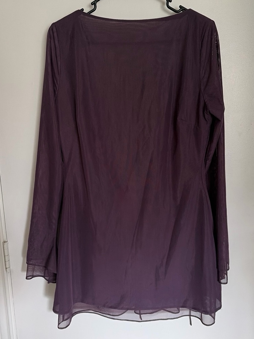 Women’s Sheer Long-Sleeve Mini Dress in Plum
